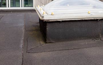 disadvantages of Walton Elm flat roofs