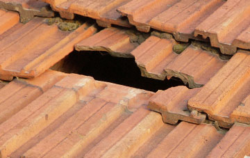 roof repair Walton Elm, Dorset